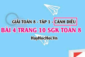Giải bài 4 trang 10 Toán 8 Tập 1 SGK Cánh Diều